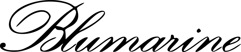 BLUMARINE Occhiali Logo